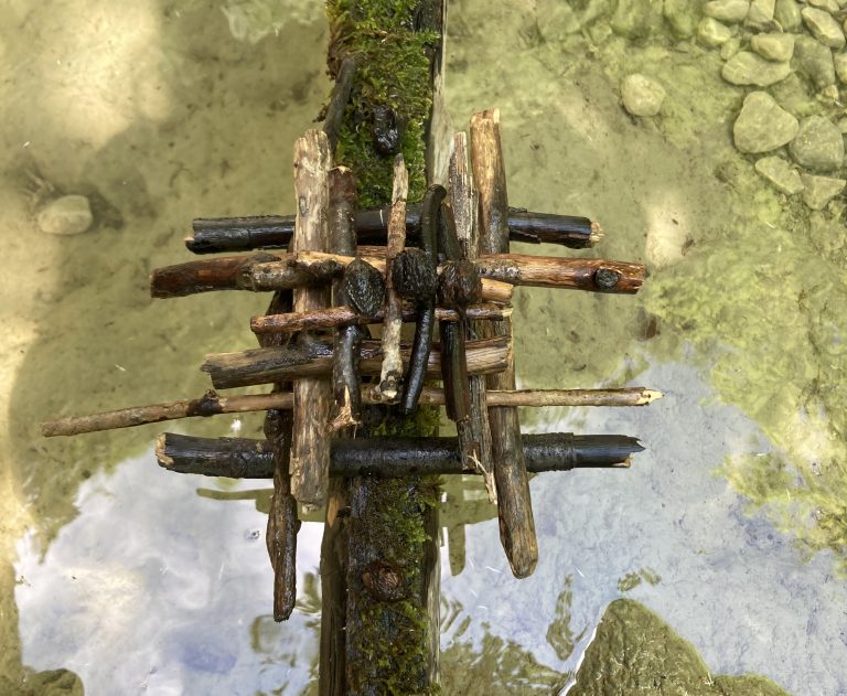 60C51E9A 9F5B 41ED AF89 29D8E8A497F5 1 201 A 768x631