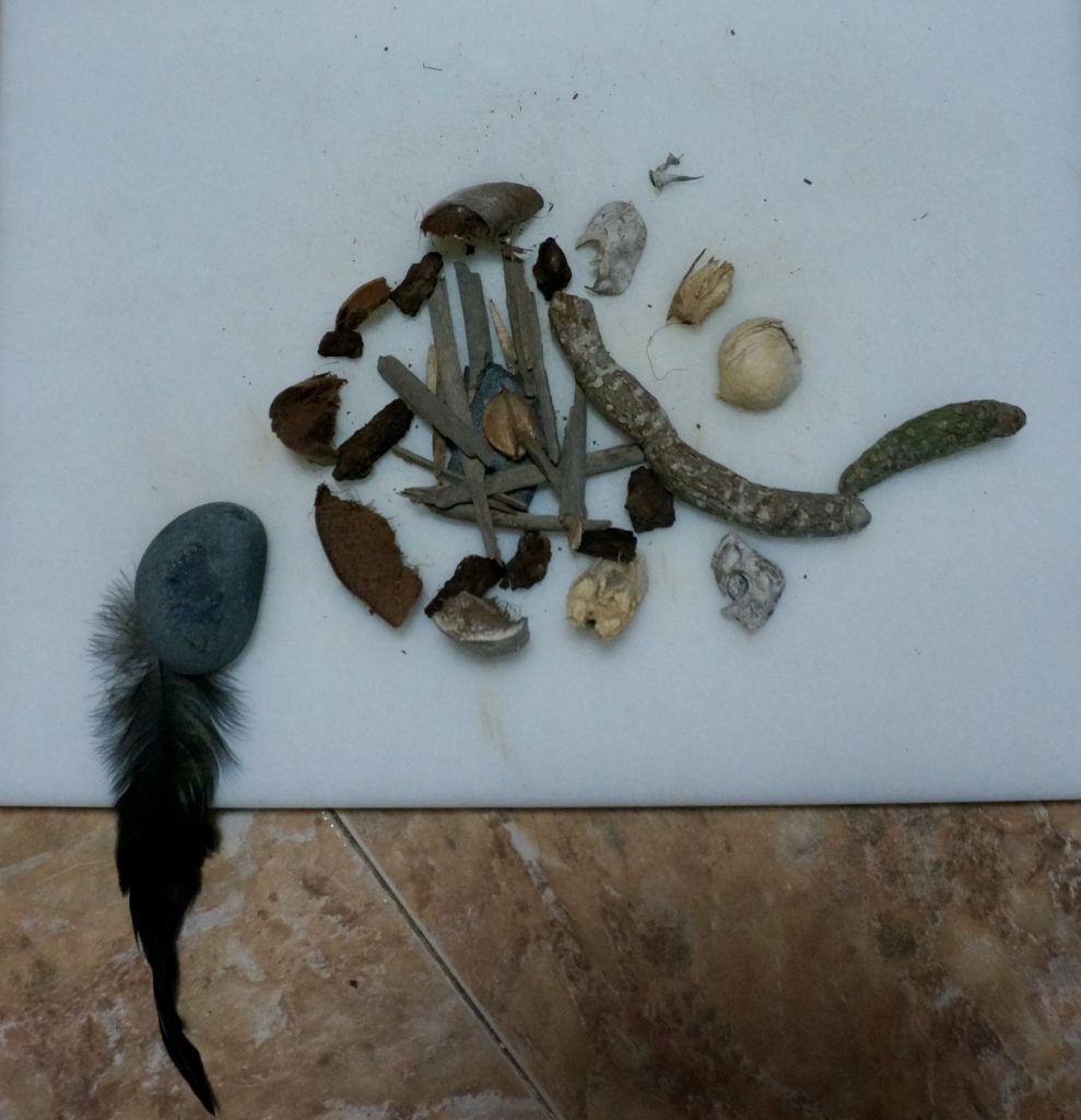 e182c4ee 951a 48f0 9566 0cc7d0299a64 1 201 a