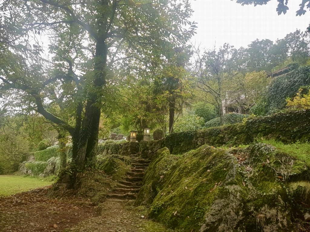 1b5ae76d e29c 4452 8168 c7cb09b4fb8d 1 201 a